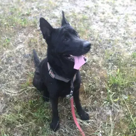 Thor photo 2