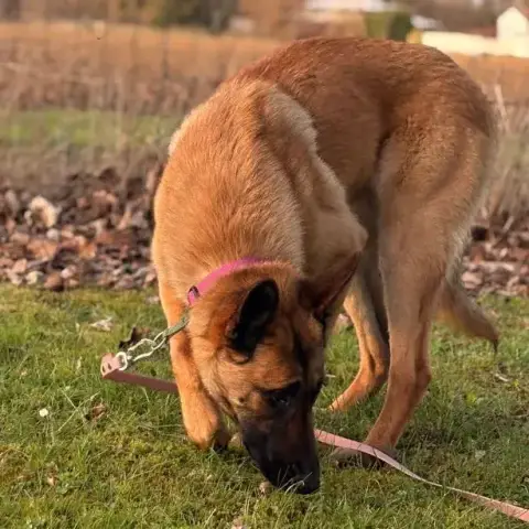 Bella photo 2