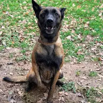 Tina