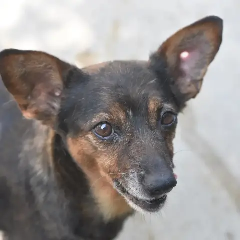 Paula photo 2