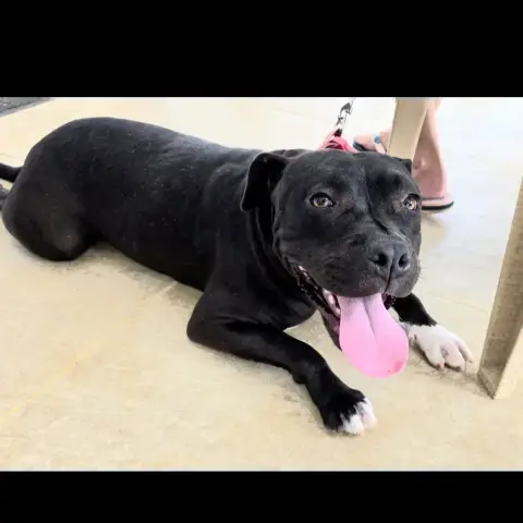 Xena photo 2