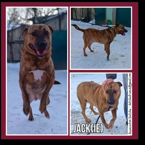 Jackie