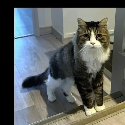 Ulysse & Poupette photo 3