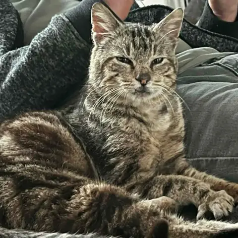 Adam