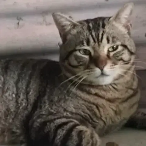Felipe