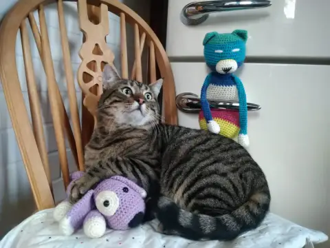 Walter