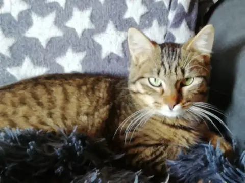 Maya photo 2