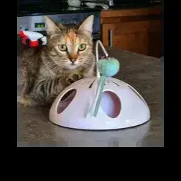 Princesse photo 3