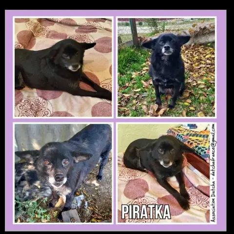 Piratka