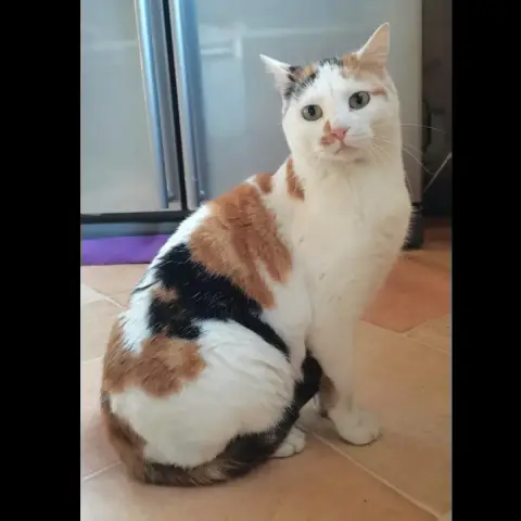 Yasmina