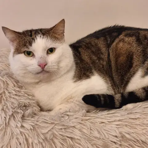 Felix photo 3