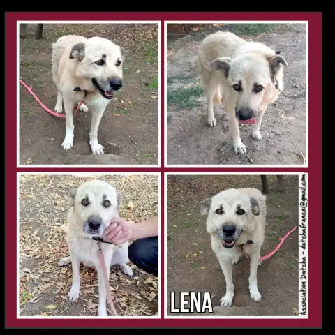Lena