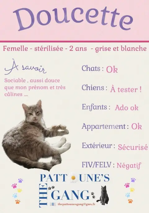 Doucette