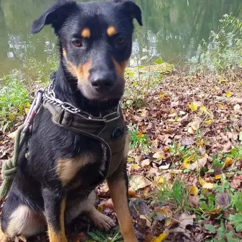 Loki photo 2