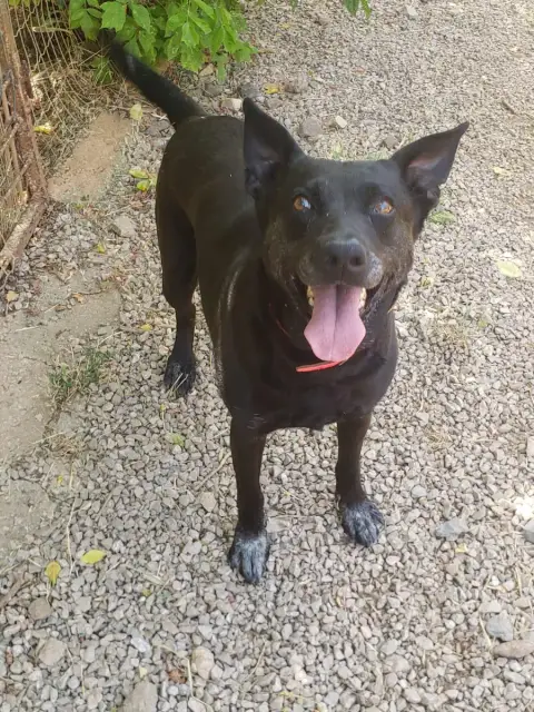 Kiara photo 2