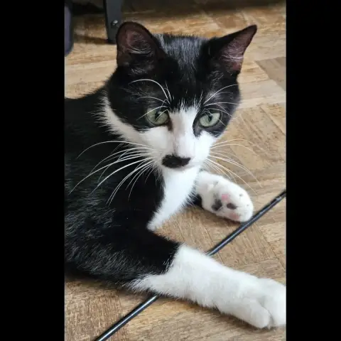 Charlie photo 2