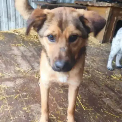 Barni-Urgent! photo 2