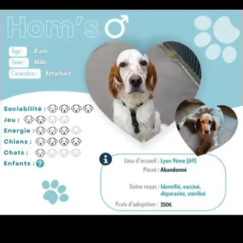 Hom'S