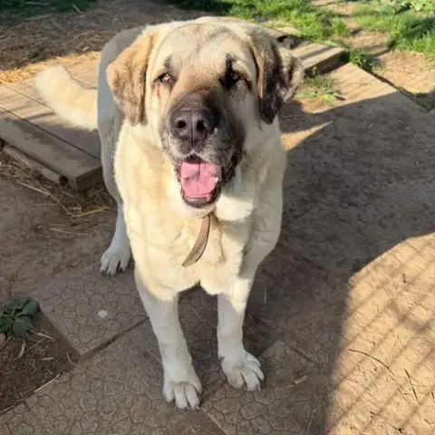 Zeus