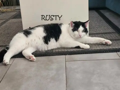 Rusty