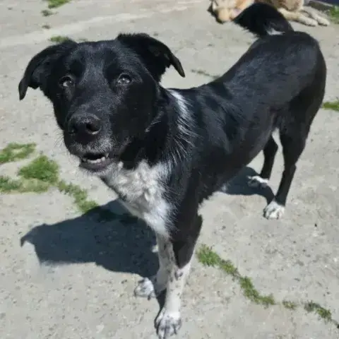 Chance photo 2