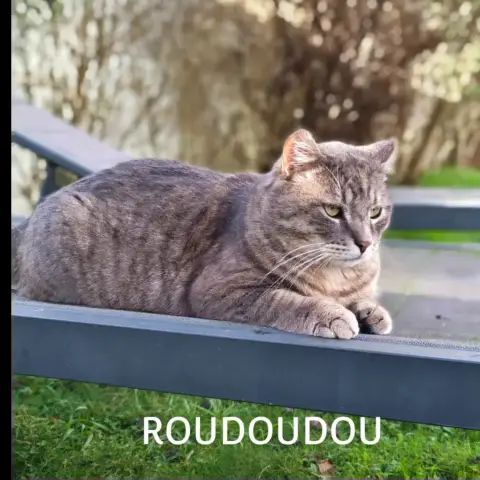 Roudoudou photo 3