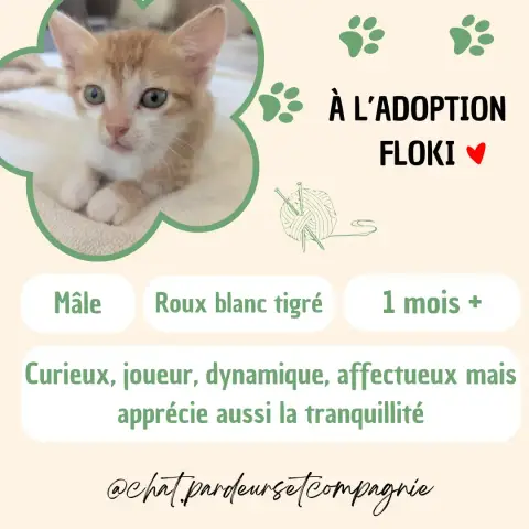 Floki
