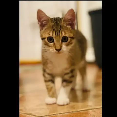 Bouille photo 2
