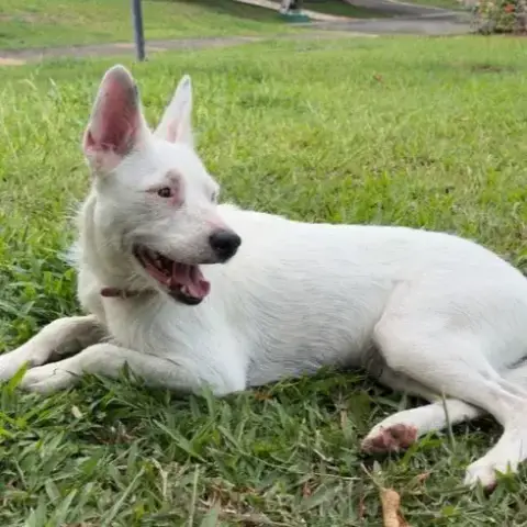 Lola photo 3