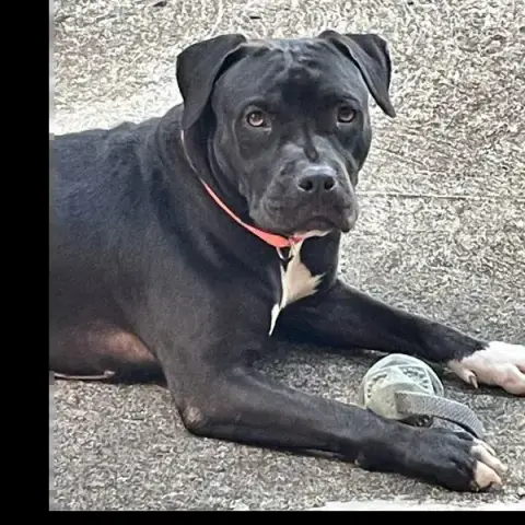 Xena photo 2