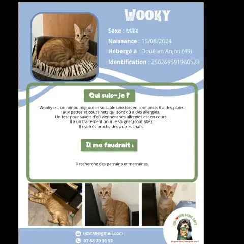 Wooky