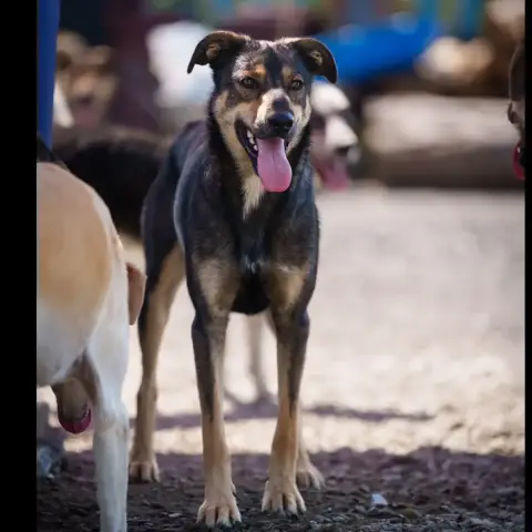 Owen photo 2