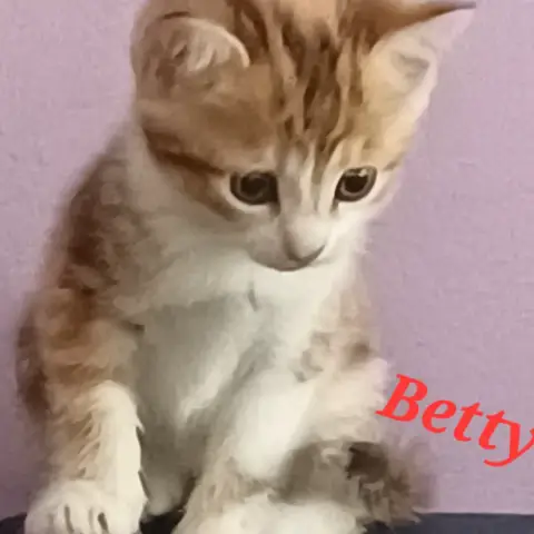 Betty
