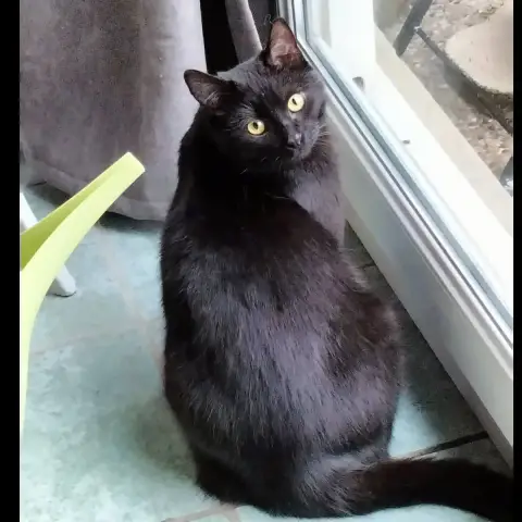 Skittles photo 2
