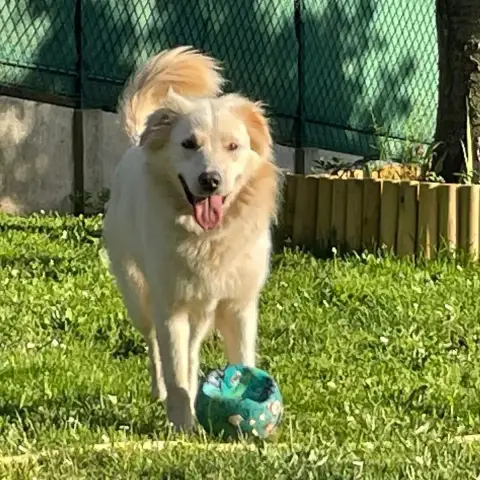 Luna photo 3