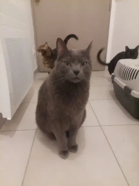 Hugo photo 3
