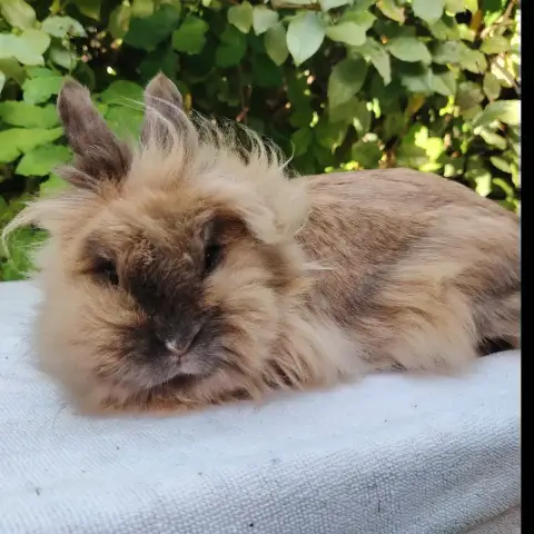 Alaska