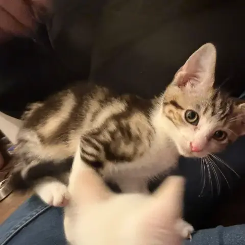 Billy