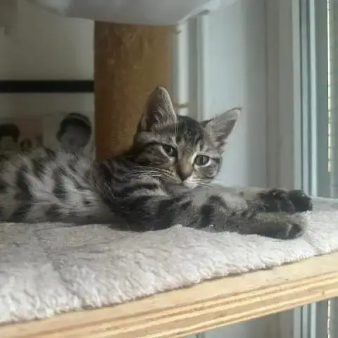 Winnie photo 2