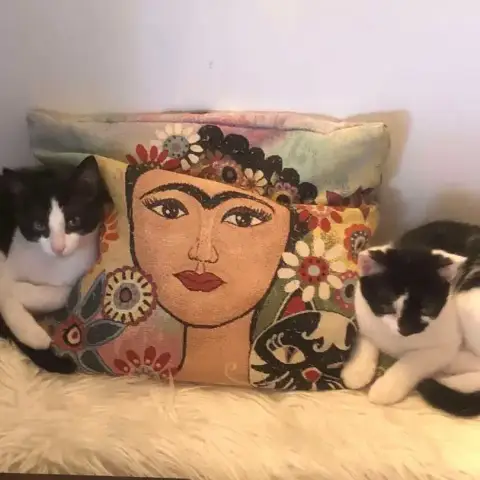 Figaro / Domino
