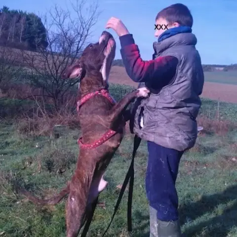 Loka Urgent Appele À L'Aide...