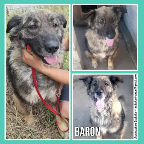 Baron
