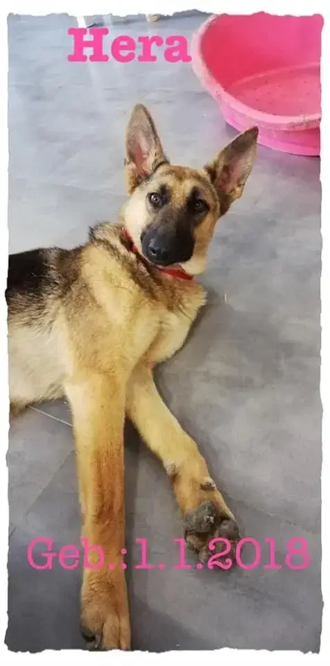 Hera