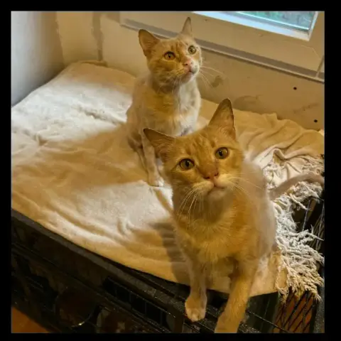 Dave Et Lionel