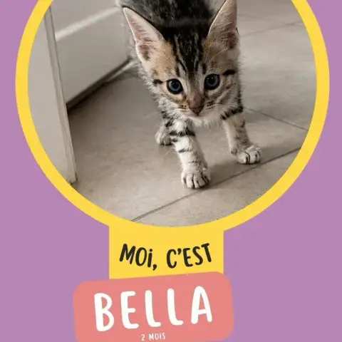 Bella