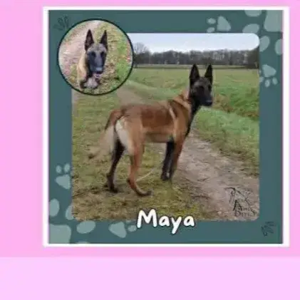 Maya photo 2
