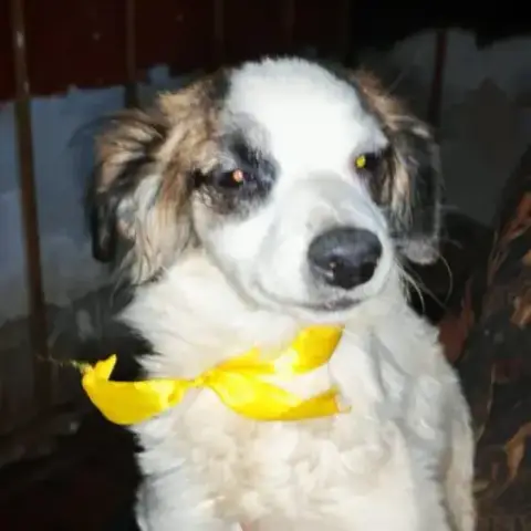 Betty photo 2