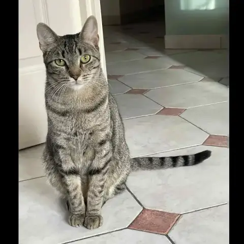 Marco