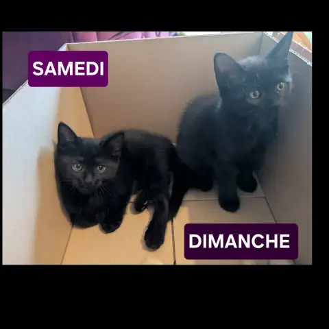 Samedi Et Dimanche