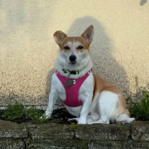Gloria photo 2